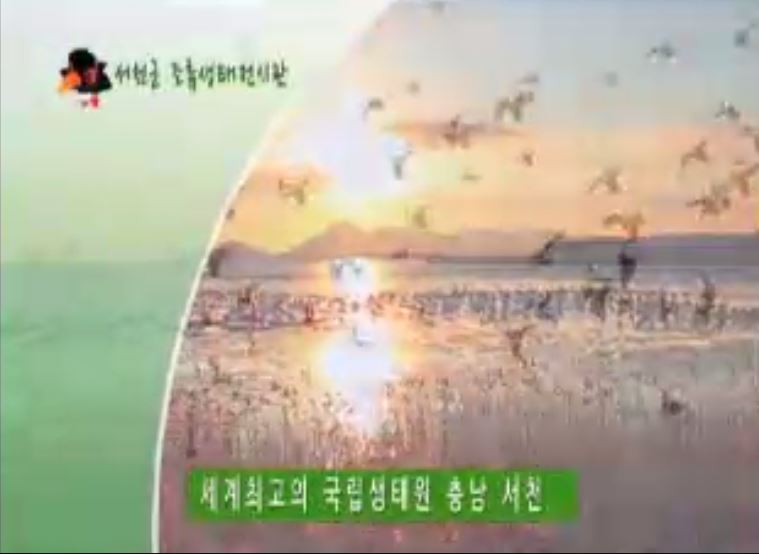 방송