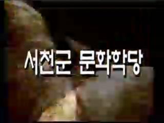 방송