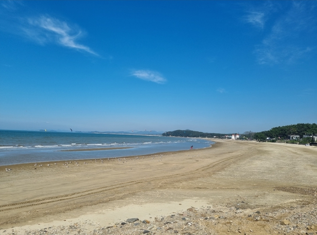 서천군 서면 춘장대해수욕장, 수질‘적합’판정, 안전하게 즐기세요!