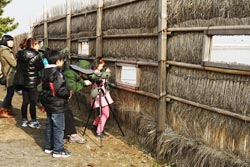 舒川候鸟旅行