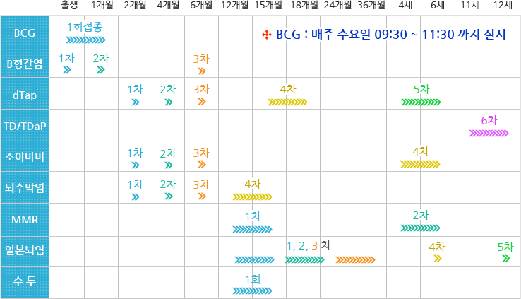 영유아 표준 예방접종표